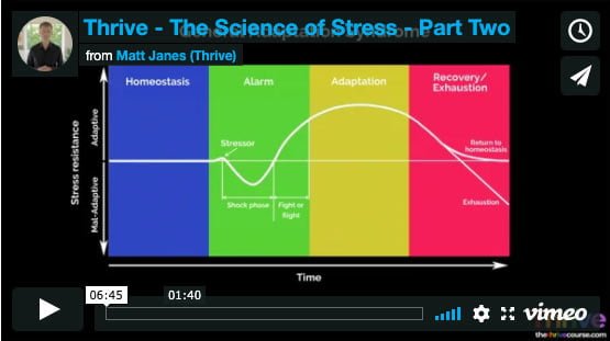 the science of stress