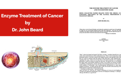 The Enzyme Treatment of Cancer Dr John Beard